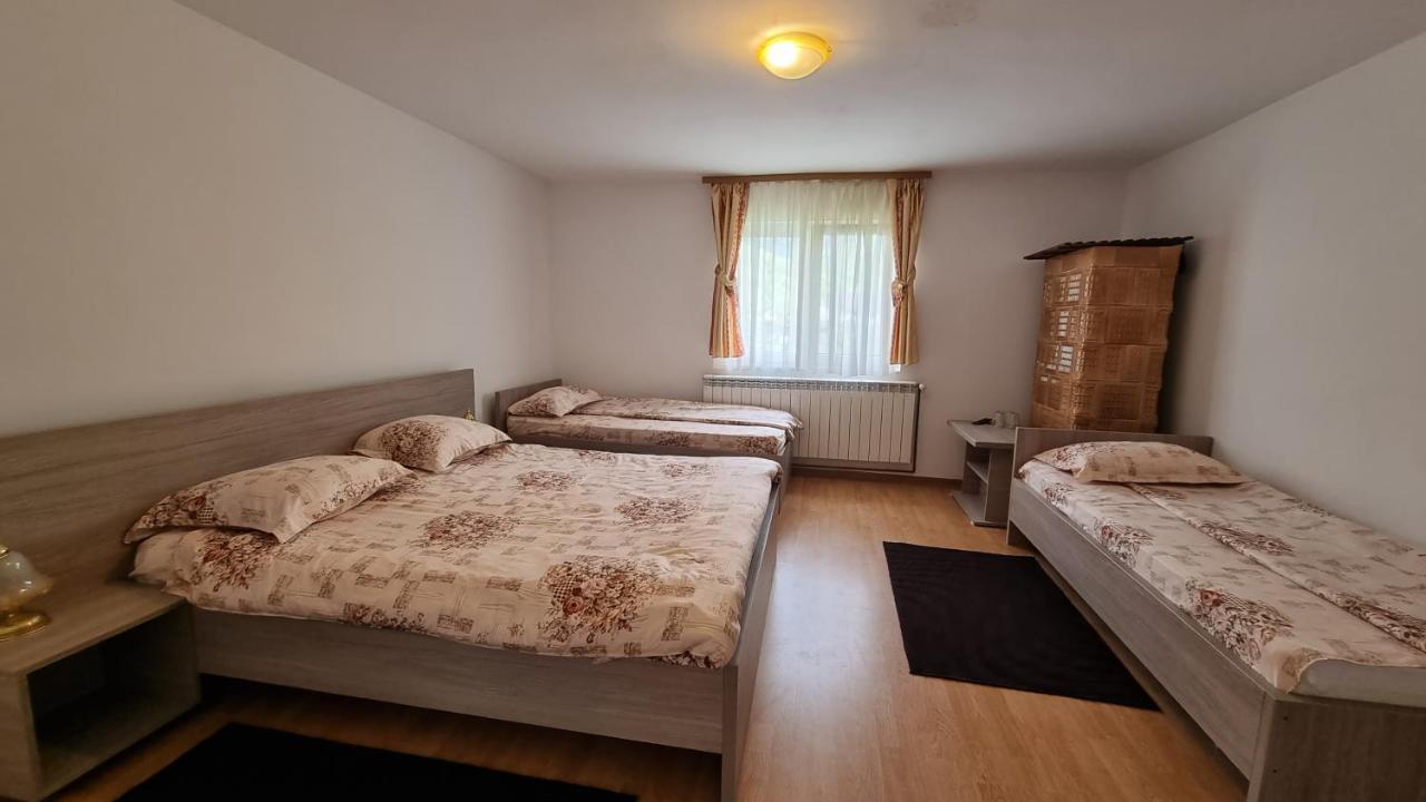 Pensiunea Barsan Vişeu de Sus Eksteriør billede