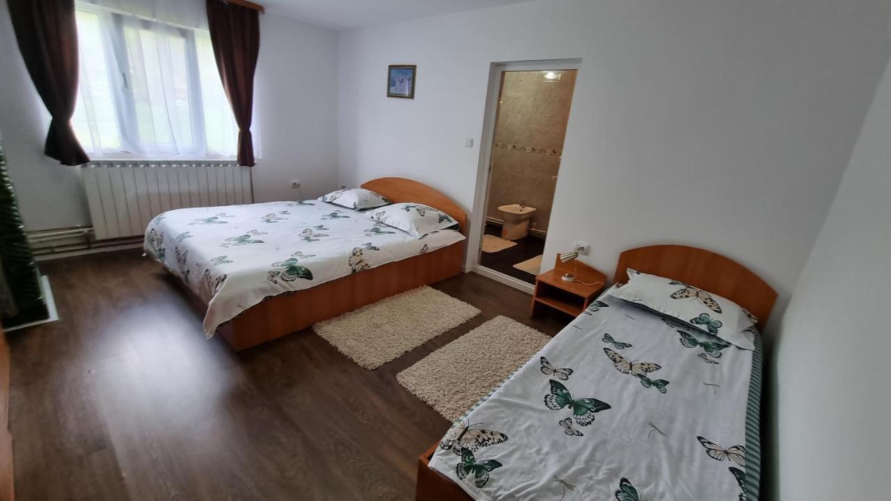 Pensiunea Barsan Vişeu de Sus Eksteriør billede